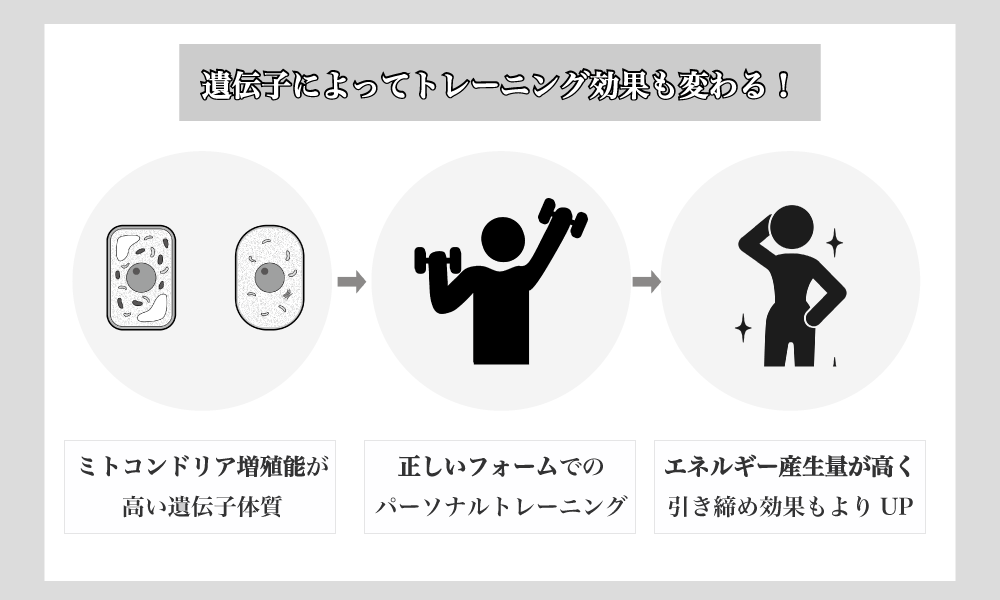 消費カロリーレベルが分かる